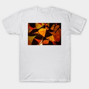 Backlit Acer Palmatum Leaves T-Shirt